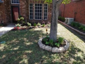 landscape installation