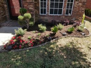 Landscape Flower Beds in Fort Worth