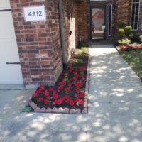 residential flower bed