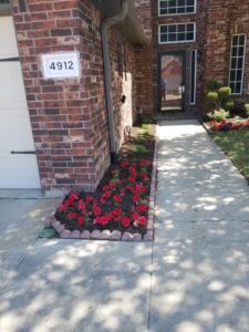 residential flower bed