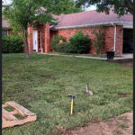 Sod Installation and Irrigation Repairs North Fort Worth, TX