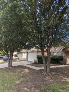 Keller yard before work