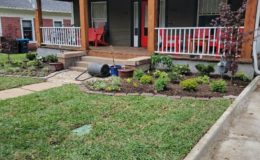 New Sod in Grapevine Tx