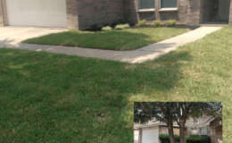 before and after of sod insallation in keller tx