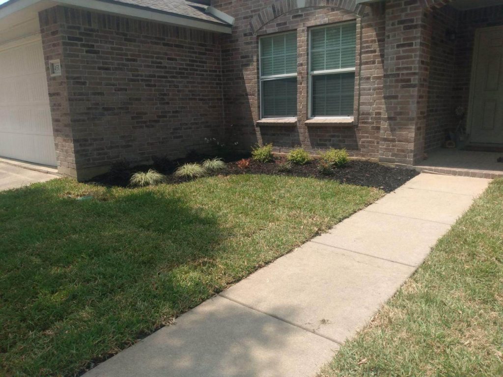 flower bed and new grass in keller tx