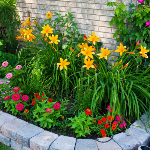 A stone edged urban flower bed that packs a punch. Small on size but big on color!
